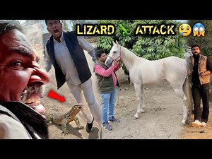 MAMA: "Abhinav Tera Samay Kharab Hai"😱Ghodi dekhne Jaane Se Pehle Mama Pr Ghatak Attack Ho Gya🥺Sry🙏🏻