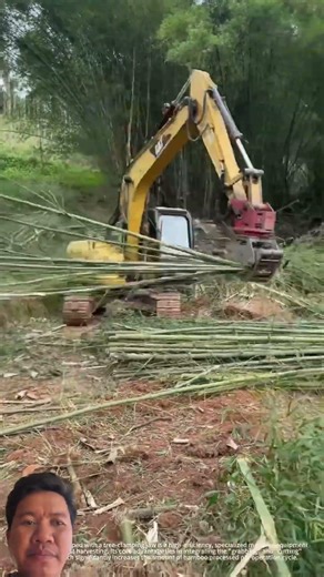 Sanyexcavator #engineering #excavator #automobile #jcb