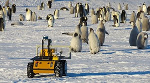 Meet the robot keeping an eye on emperor penguins in Antarctica