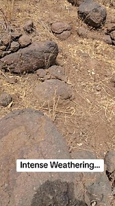 When the earth weathers intensely, it leaves its signature behind. Ironstone ; highly oxidised, dark brown, coarse-grained, dented and packed with quartz; tells a story of prolonged chemical alteration, fluid movement, and surface enrichment. Every texture is data. Every colour is evidence. Read the ground before you mine it. #Ironstone #IntenseWeathering #OxidationZone #FieldGeology #QuartzVeins | NC Gideon