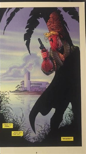 ✨️✨️WILDCATS ISSUE #17 TRAVIS CHAREST IS THE ARTIST IMAGE COMICS