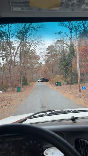 Buzzsawtrees (@buzzsawtrees)’s videos with original sound - Buzzsawtrees