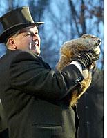 How do you know whether Punxsutawney Phil sees his shadow?