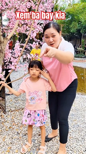 Look at the flying turtle!