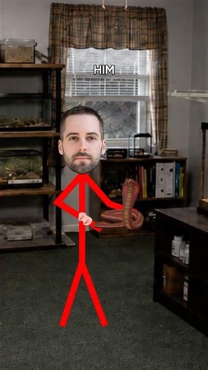 The Man Who Died From A Snake Bite 🐍 #shorts #story
