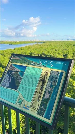 Explore Anne Kolb Nature Center 🌿 | Mangroves & Marsh Adventures in Hollywood, FL