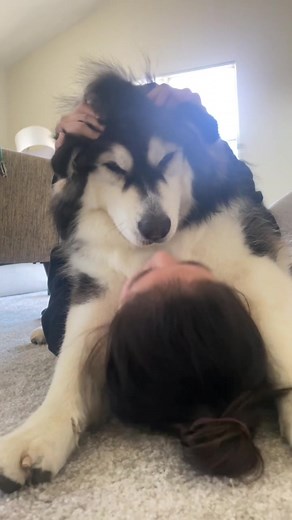 Grumpy Morning Kiss - Cute and Funny Interaction