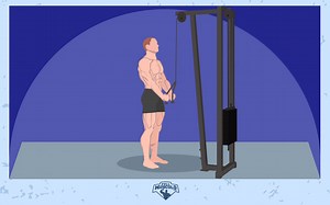 Los 7 Mejores ejercicios y la Mejor Rutina para Tríceps • FullMusculo