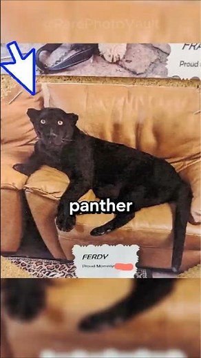 Incredible Rare Photos That Will Leave You Completely Mind Blown | 564