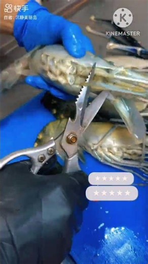 Excellent Big Prawn Cutting Techniques l 😍 l #shorts #viralshorts #fishcutting #prawns