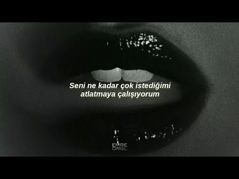 Rita Ora - Poison (Türkçe Çeviri)