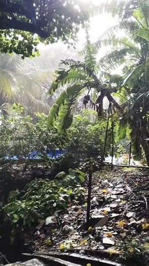 #yt#tukarammaharaj#ytshorts#ytviral#ytshort#hd#song#movie#thoughts