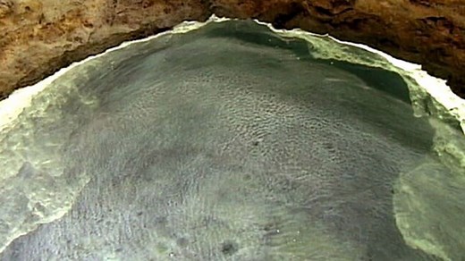 Exploring Romania's Underground Movile Cave Ecosystem | Britannica