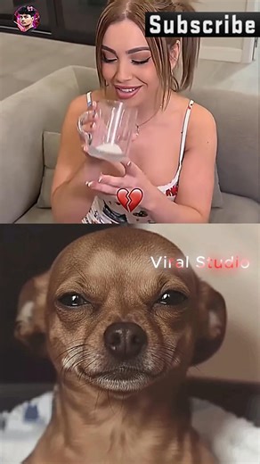 #transition#transition