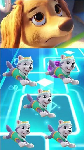 PawPatrul Coffin Dance Songs - EVEREST - Tiles Hop