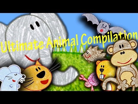 The Ultimate Animal Compilation!
