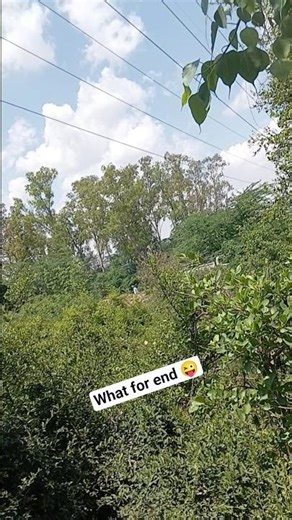 #music #shortvideos #shortclips #comedy #ekmotahathighumechala #jangal