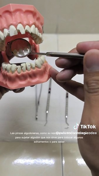 Instrumentos del Básico Dental: Guía para Estudiantes de Odontología