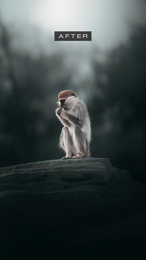 Photo Editing and Color Grading Transformation