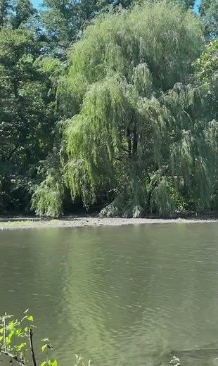 Nice day out on the Bronx River pathway trail
