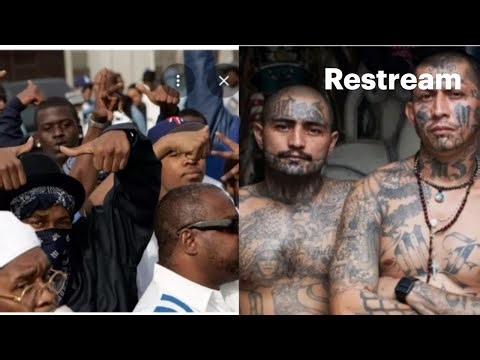 STREET TV SPEAKS TO OG MEXICAN & AMERICAN CHOLO ABOUT BLACKS VS MEXICANS IN LA
