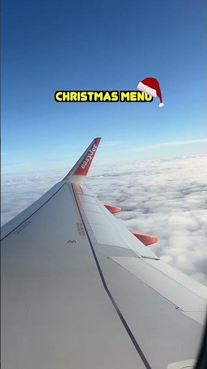 Plane Food - Menu Pics vs Reality
