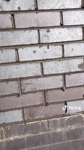 Laying blue bricks. Black mortar and v jointing! #bricklayer #masonary #construction #bricktok #bluebricks #blackmortar #vjointing