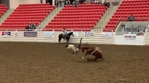 Y’all timeys need to stop trying to convert bucking stock 😅 @kennedy.chaytors #rodeo #rodeowrecks | Rodeo Wrecks