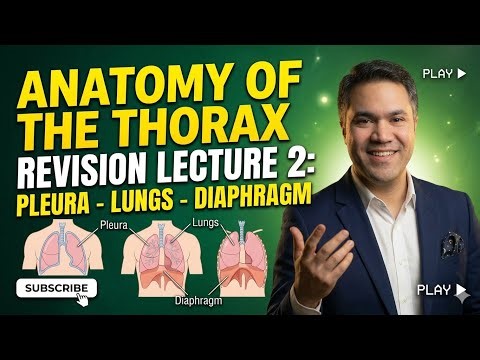 Anatomy of The Thorax (module104) Revision 2: Pleura- Lung- Diaphragm