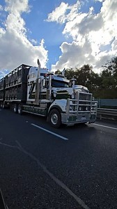 Cattle carter! | Ray Lawrence Photography