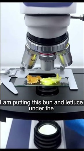 Hamburger Under The Microscope Looks 😳🍔🔬