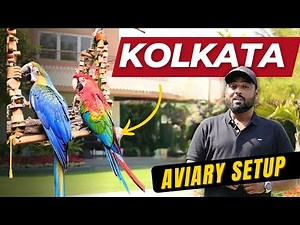 Macaws Aviary Setup | Kolkata Visit | Exotic Birds Setup | #ShaikhTanveer #Macaws #Aviary