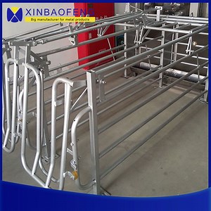 [Hot Item] Low Price Breeding Equipment Sow Cage Pig Farm in India for Sale