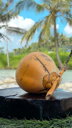 Swift Hands, Sharp Blade