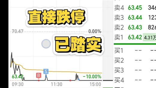 跌停还真踏实了hhh