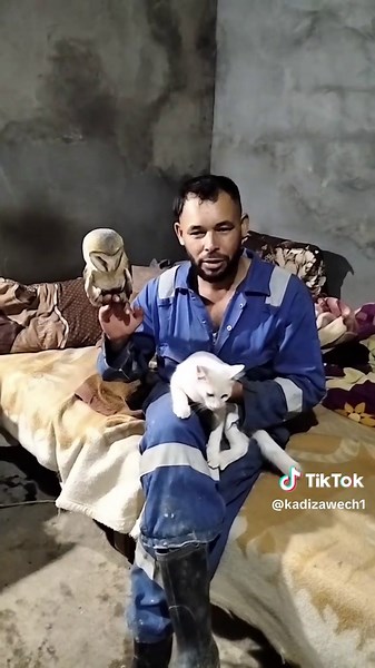 Vidéos de kadi 14 تربيه الحيوانات (@kadizawech1) avec Obiymy (Remix) - Okean Elzi & Callmearco