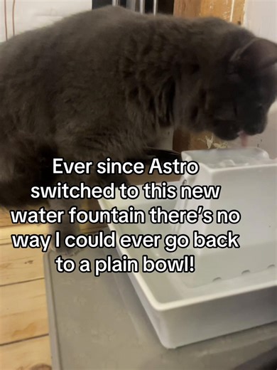 Astro loves his new water fountain ! I can’t believe how much he drinks now!