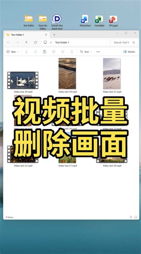 批量删除MP4视频的画面，保留音频格式不变