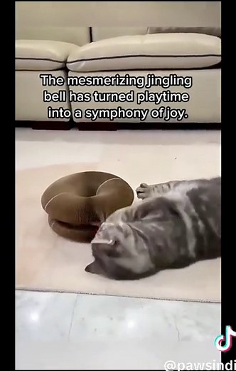 Introducing the Magic Organ Cat Scratching Board – the ultimate feline sanctuary for your beloved pet's natural instincts! Say goodbye to shredded furniture and hello to a world of healthy scratching, playful antics, and stress relief for your furry friend. Why Your Cat Needs It: When you're away, your cat craves excitement and a designated space to unleash its claws. Without a proper outlet, furniture becomes the target. The Magic Organ Cat Scratching Board is the solution! It not only saves yo