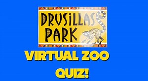 3.8K views · 37 reactions | Welcome to our virtual quiz! All the...
