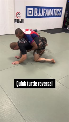 Here’s a quick and easy way to reverse the turtle position | Shawn Melanson