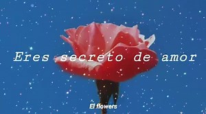 Secreto de Amor - Joan Sebastián. Letras . | Te Amaré por siempre