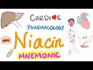 Cardiac Pharmacology (3) | Niacin with a Mnemonic - NAD+, NADH, Nicotinic Acid - Cardiology 🫀