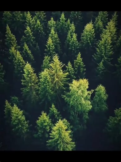 Rarest object in universe💀🗿 #science #facts #space #edit