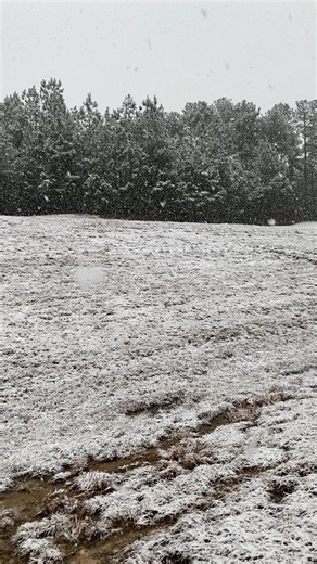 This madness has to stop... ❄️ #snow | Mrgunsngear