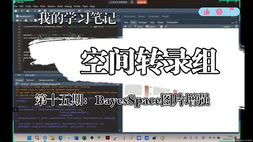 空间转录组自学，BayesSpace图片增强
