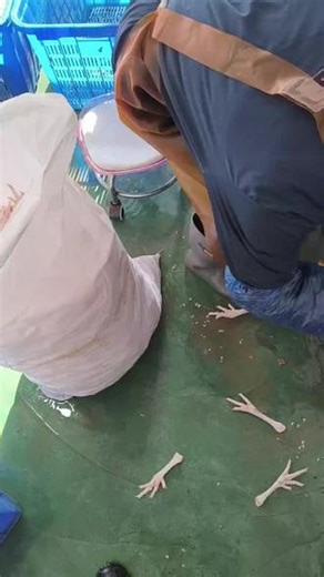 3吨鸡爪579公鸡，单个32克左右，最近2个月的货，青岛提货。2