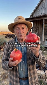 Fruits to Avoid Without Checking