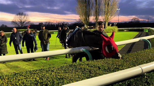 Always munching!! Fuel for the winner 🥇 #horse #hungryhorse #nokneenever #horseracing #fyp