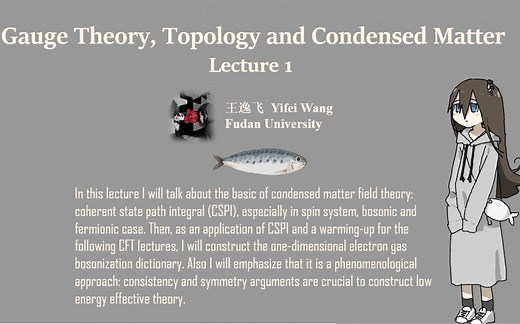 Lecture 4 Gauge Theories, Topology and Condensed Matter 第四期 规范理论，拓扑与凝聚态